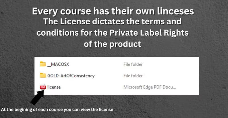 90+ PLR Video Courses With Resell Rights